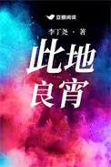 此地良宵txt资源