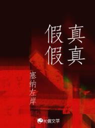 真真假假by左岸TXT