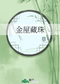 金屋藏珠笔趣阁免费