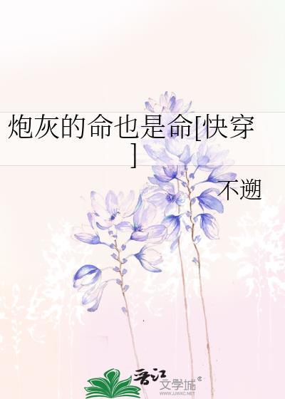 炮灰的人
