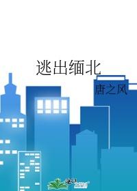 逃出缅北ai短剧免费观看