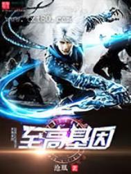 至高型百度百科