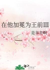 在他加冕为王前txt
