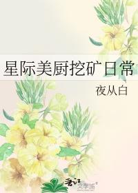 星际美食直播日常免费阅读目录