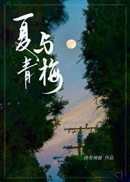 含夏青梅竹马