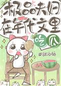 年代文里的极品夫妻 查查完结