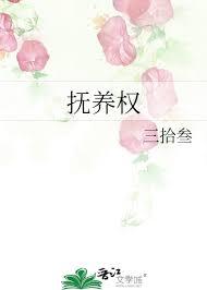 抚养权纠纷