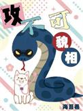 攻不可没txt完整+番外