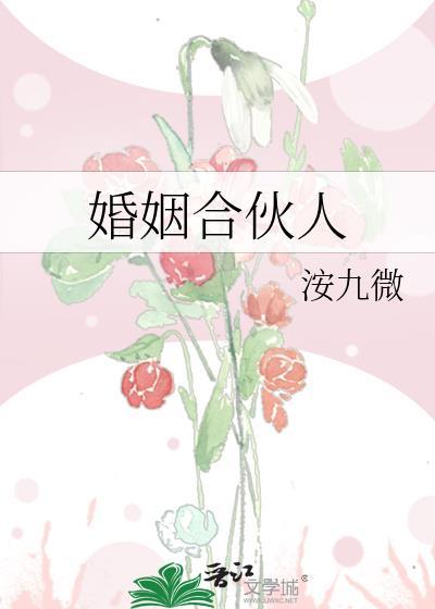 婚姻合伙人by洝九微txt百度