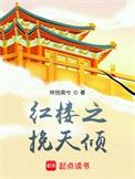 红楼之挽天倾 加料版