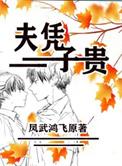 总裁契约夫凭子贵