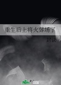 重生上将