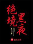 绝境黑夜精校版