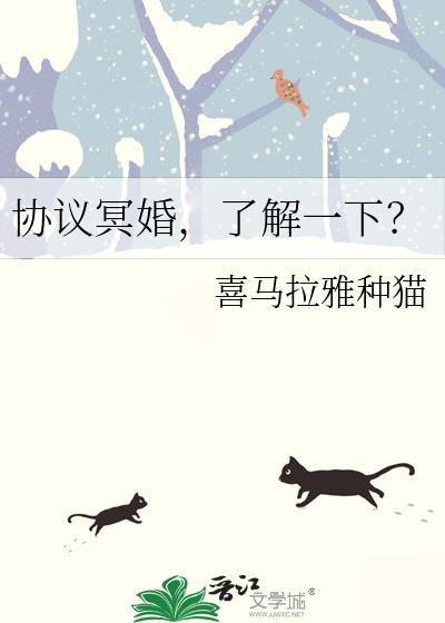 协议婚姻by南莓果果