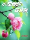 四合院知青返乡