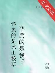 清冷美人怀了死对头的崽by番外百度