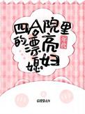 四合院的人