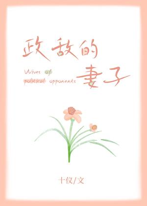 政敌一般指什么人