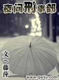 夜间刑事档案内容