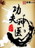 功夫神医陆锋免费阅读