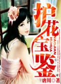 护花宝鉴全文免费阅读