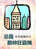 总裁酷帅狂霸拽免费阅读全文