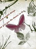 美人骨时宜周生辰