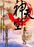 神天空太