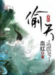 偷天宝鉴2国语版免费