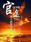 官途赵潜龙徐柳思