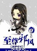 至尊邪神笔趣阁无弹窗