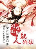 大明天子的剧情简介