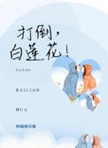 白莲花打一准确数字