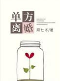 单方离婚网上能申请吗