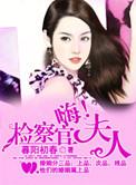 嗨检察官大人免费阅读