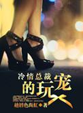 冷情总裁宠入骨