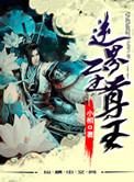 逆天至尊神界境界