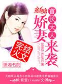 首长大人宠上天无弹窗