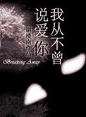 我不曾爱过你我