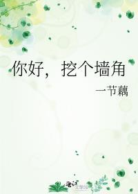 你好 挖个墙角