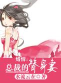 总裁的替身前妻免费阅读全文正版