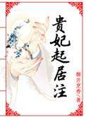 贵妃起居注短篇