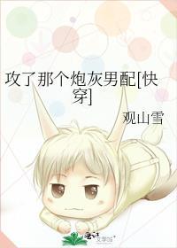 攻了攻略那个炮灰男配