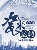 重生之瓷来运转春溪笛晓