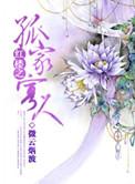 百度红楼同人之