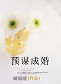预谋婚姻