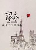 盲婚狂上加狂晋江