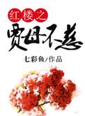 红楼贾母不慈免费阅读