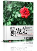 重生之独爱男妻