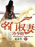 冷少的宠妻免费阅读